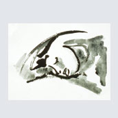 Il sonno